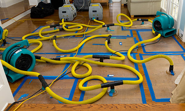 Professional Burst Pipe Water Damage technician working in Reading, PA